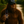 Croix Valley Embroidered Low Profile Cap